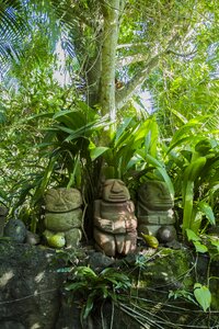 Pukana tiki jungle