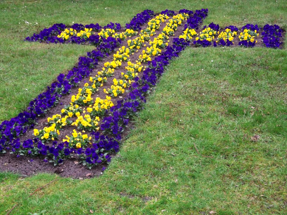Flowers religion spring