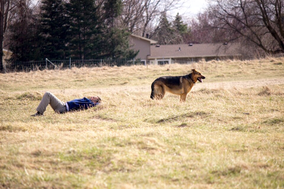 Outdoors resting animals