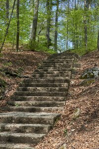 Rise stone stairway forest