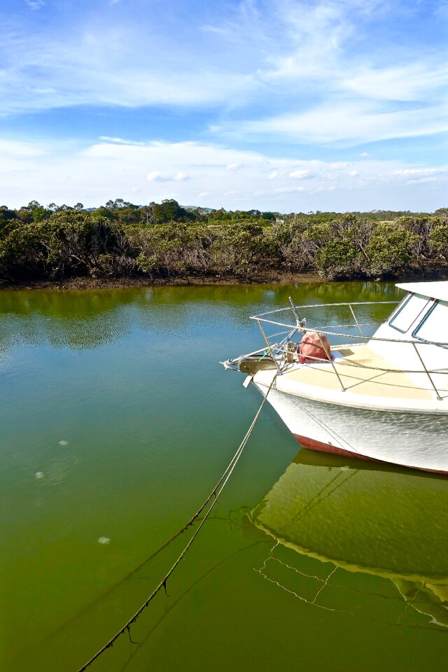 Vessel mooring reflection