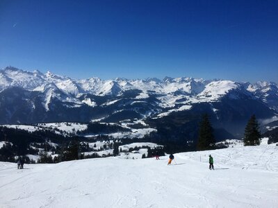 Skiing winter sports ski photo