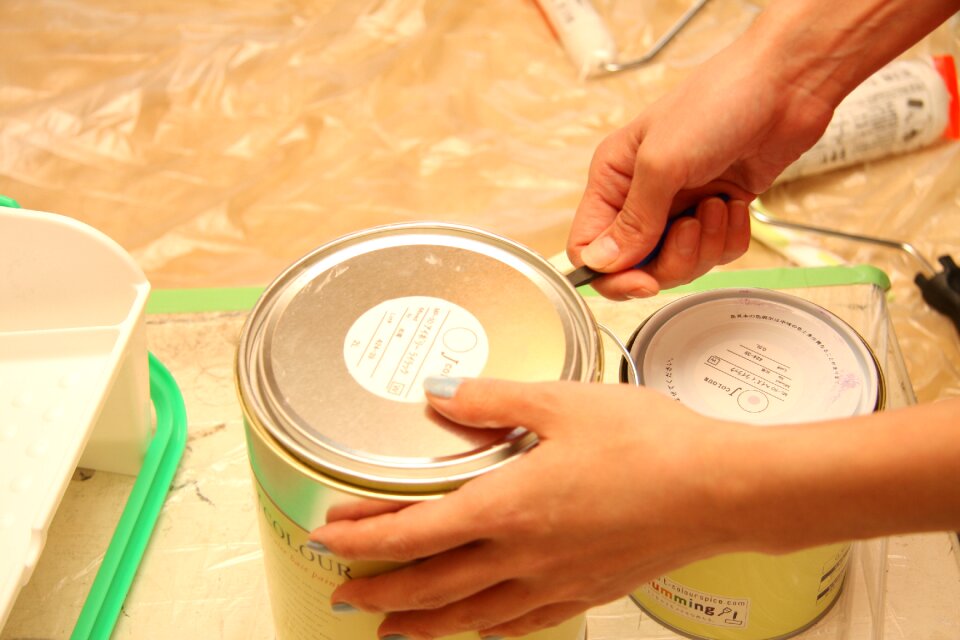 Brush painting paint