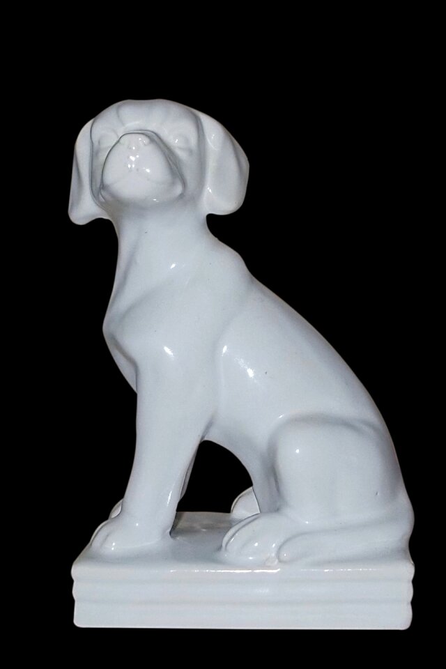 Figure dog figure white