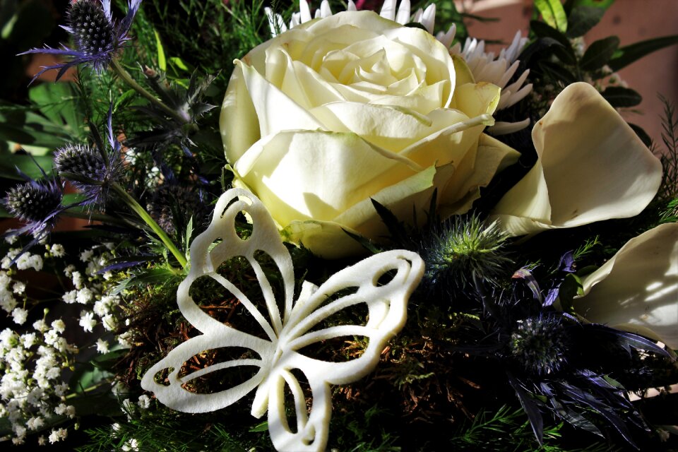 White calla ornamental thistles gypsophila photo