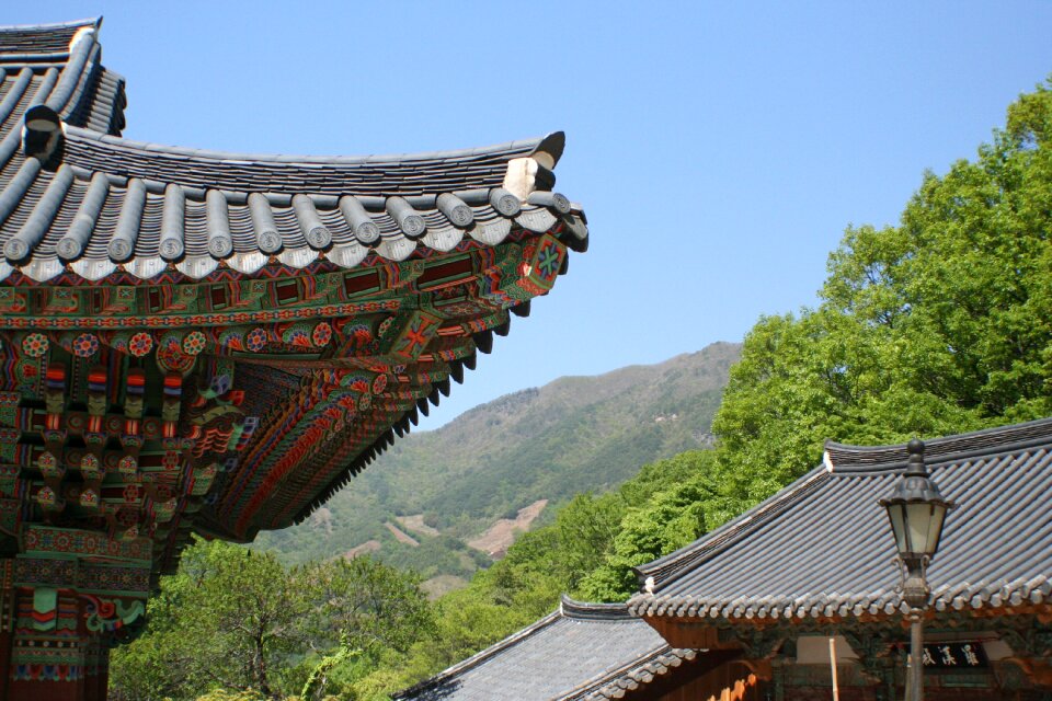 Buddhist temple tranquil