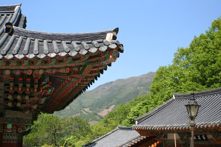 Buddhist temple tranquil
