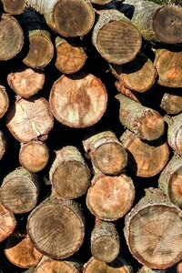 Wood nature stacked up