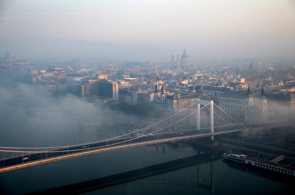 Fog dawn elizabeth bridge