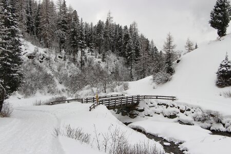 Bridge winter alpine photo