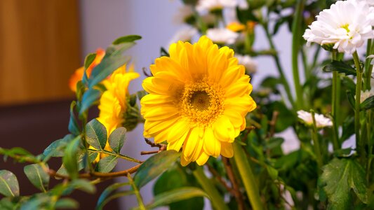 Bouquet plant nature