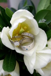 Flowers rings liabilities