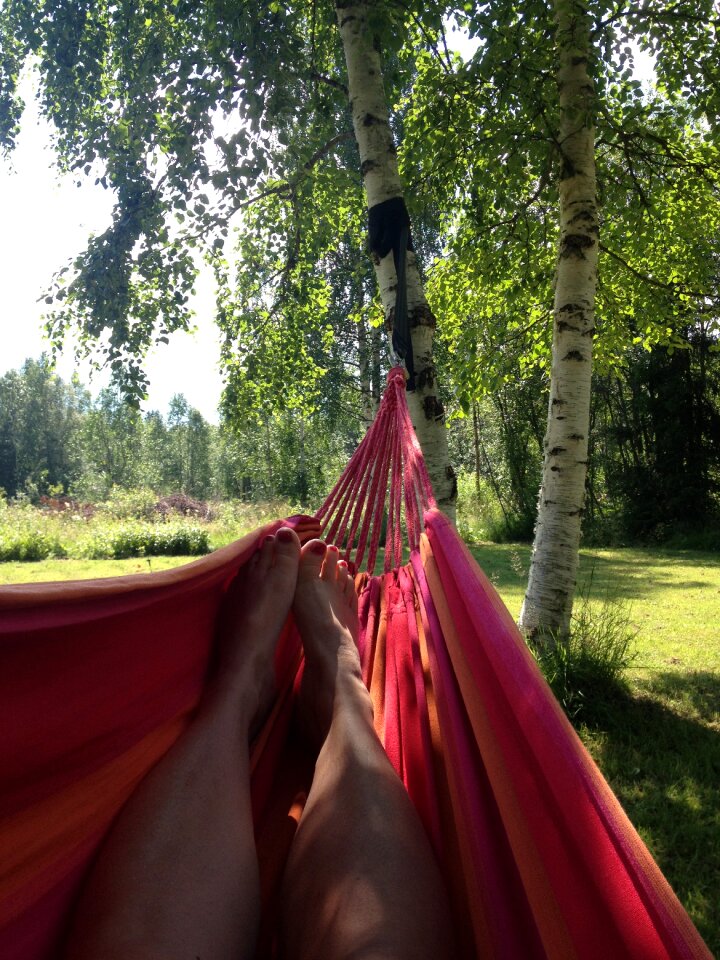 Hammock rest birch