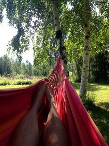Hammock rest birch