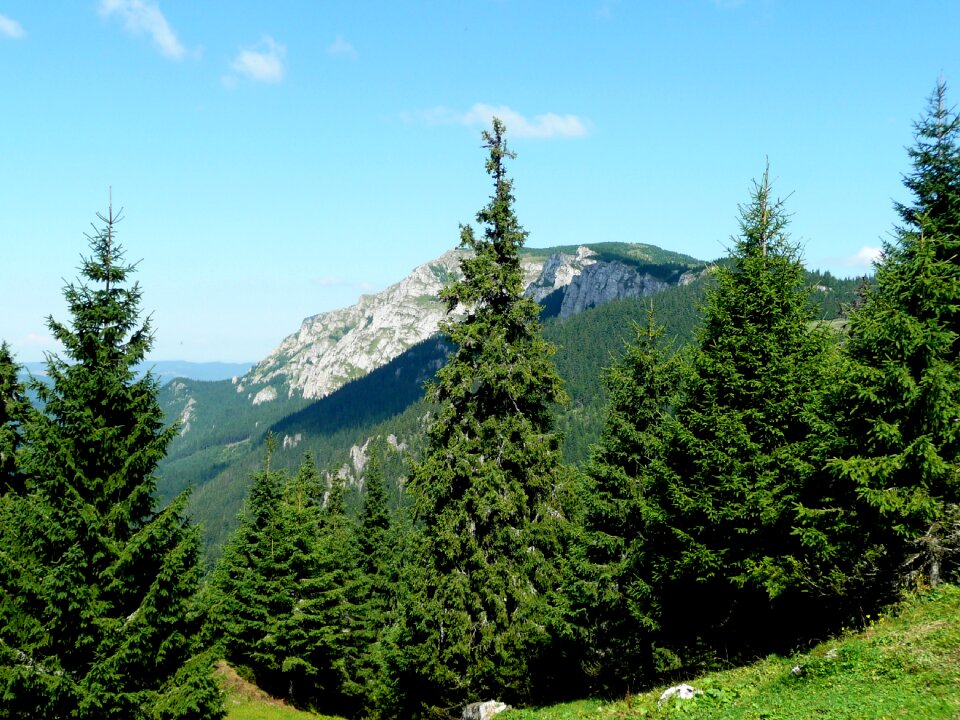 Onion mountains nature mood