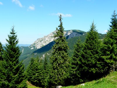 Onion mountains nature mood