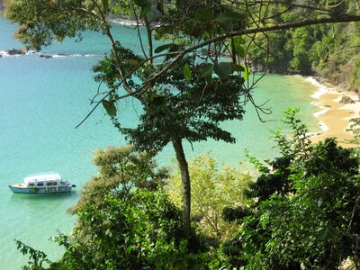 Tobago beach summer