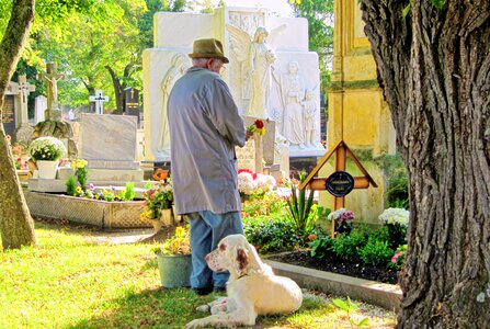 Graves animals rest