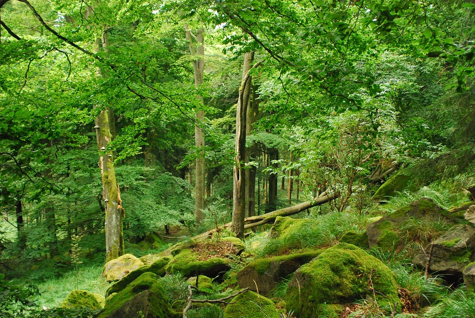 Rock hiking nature photo