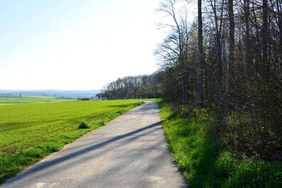 Field walk nature