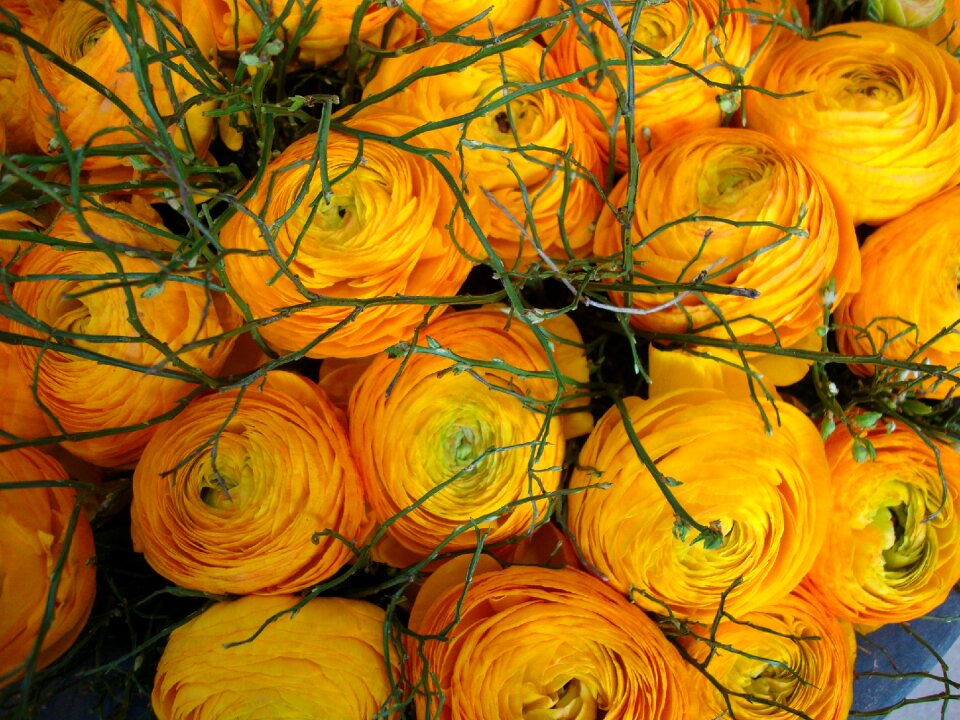 Decorative bouquet bouquet of flowers