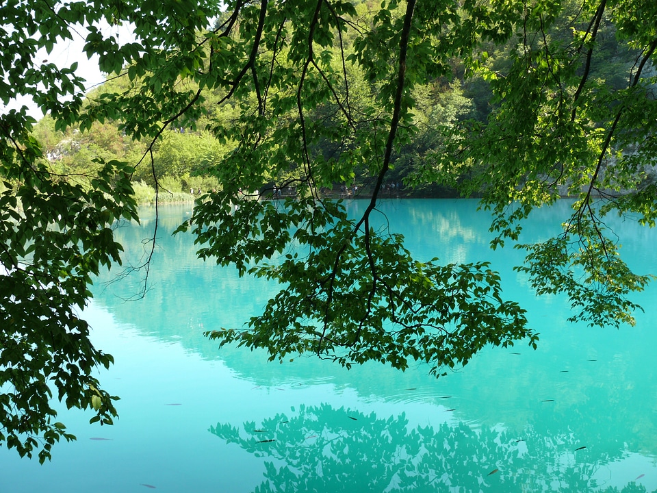 Plitvice lakes blue water croatia