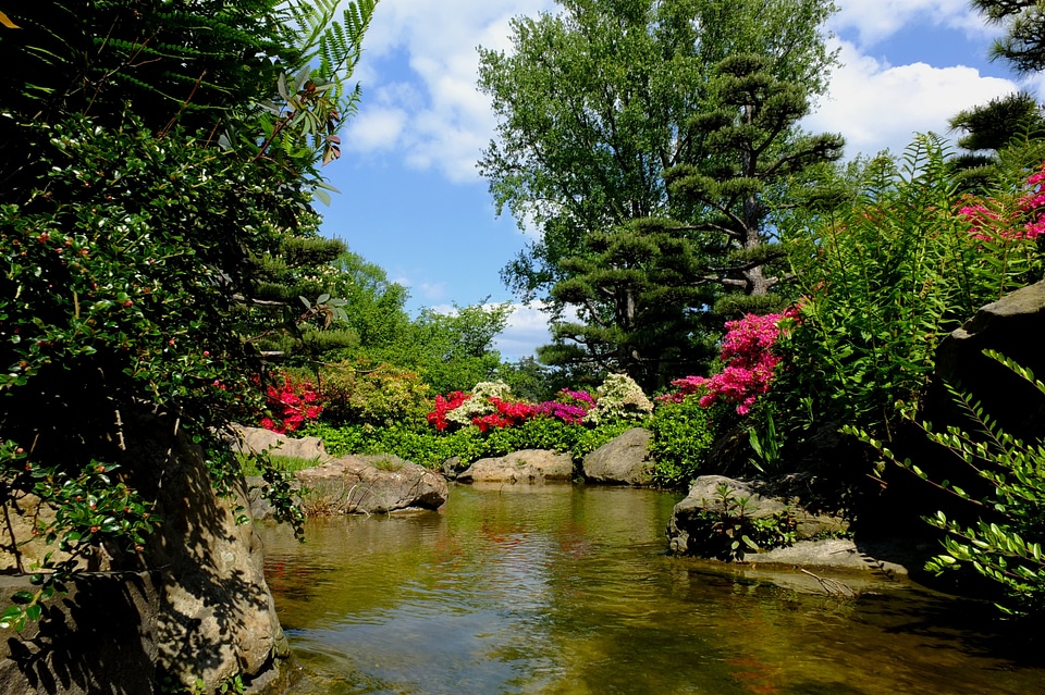 Park landscape spring