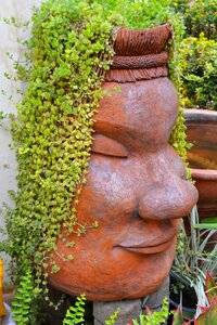 Pot flower life