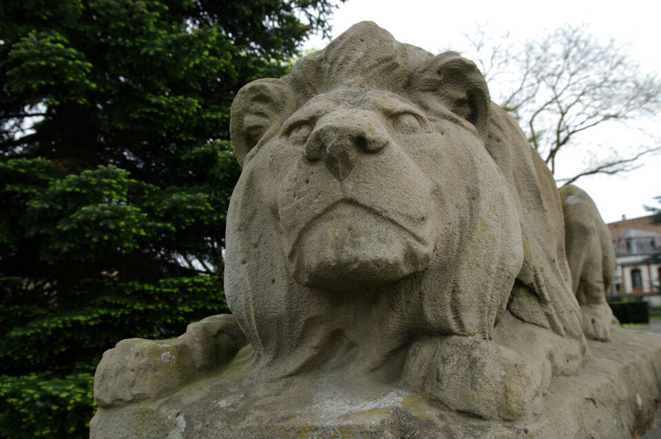 Limestone tawny art