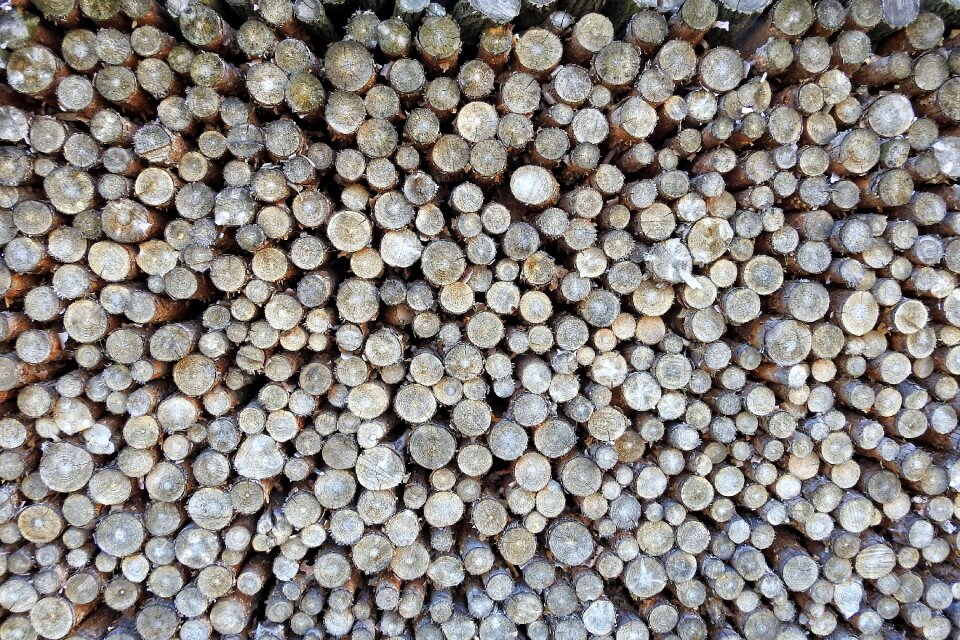 Wood nature stacked up