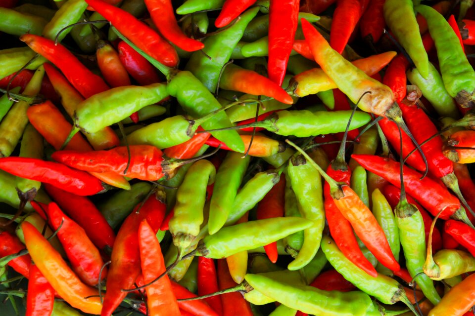 Vegetable food fresh