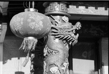 Dragon asian old photo