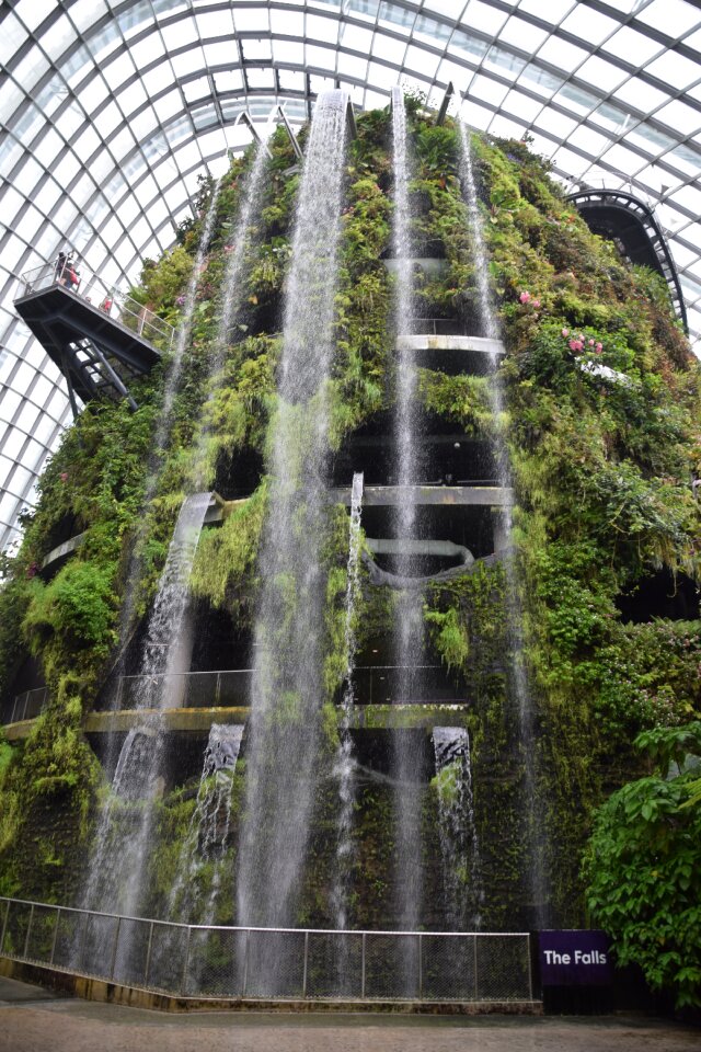 Singapore flower dome