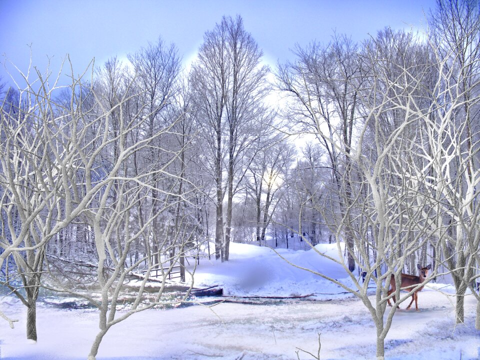 Animal cold sky