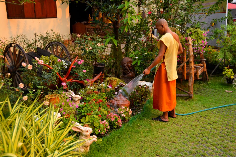 Garden traditional culture