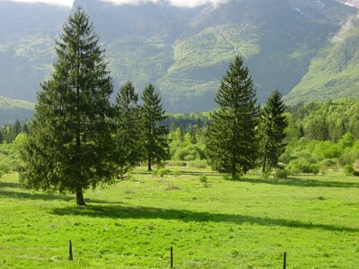 Mountains slovenia rural landscape photo