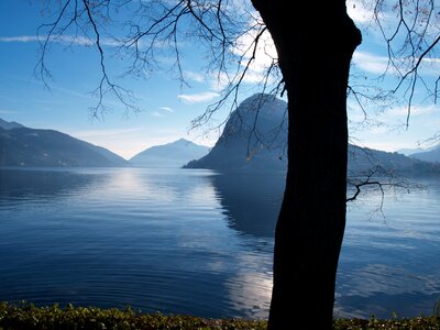 Lugano landscape tree photo