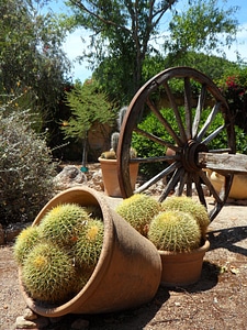 Wooden wheel wagon wheel decorative photo