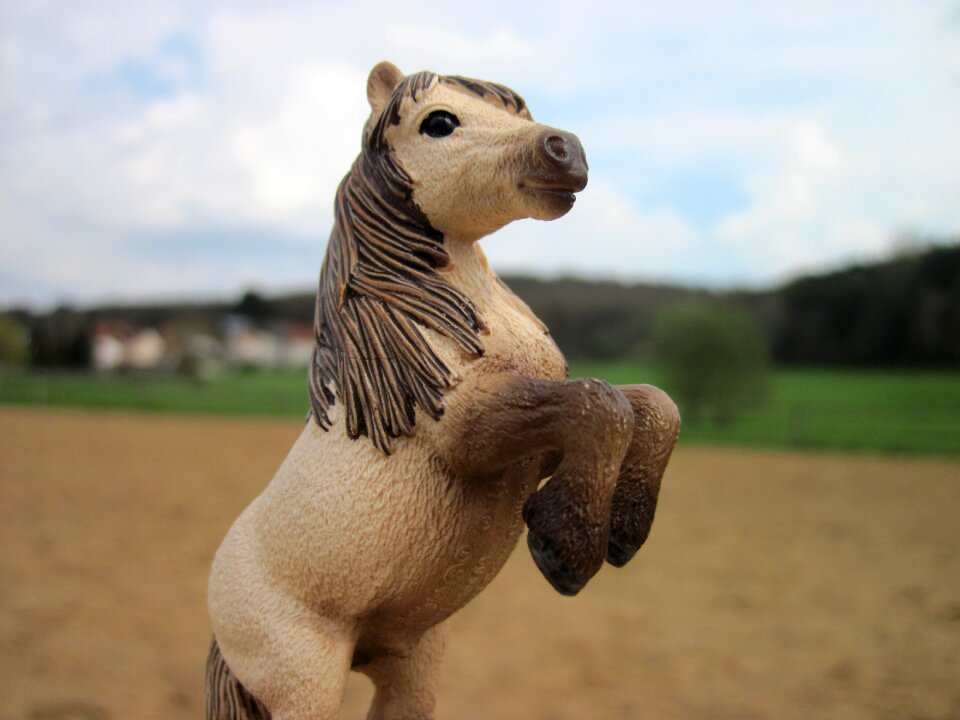 Toys horse stallion