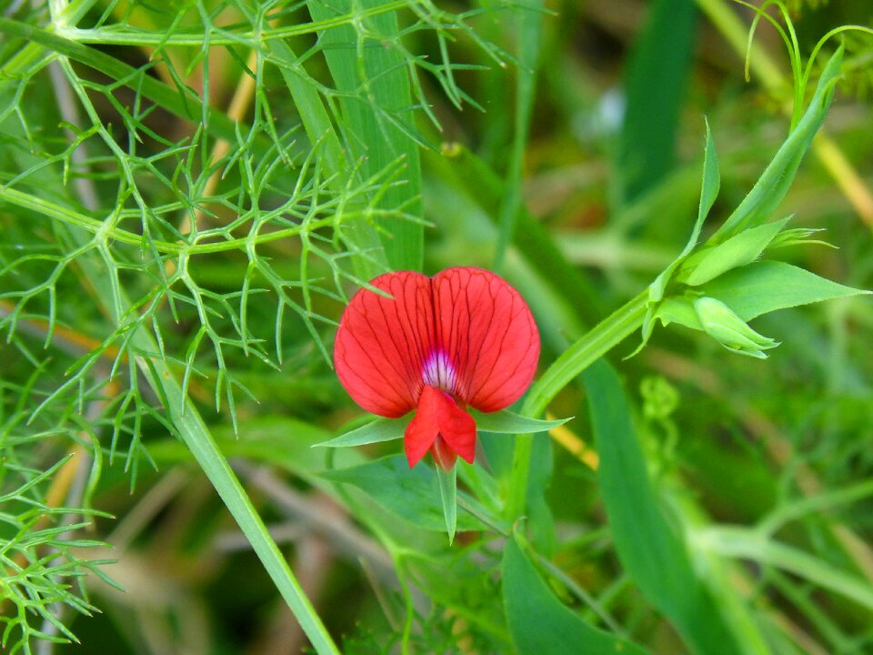 Small beauty detail