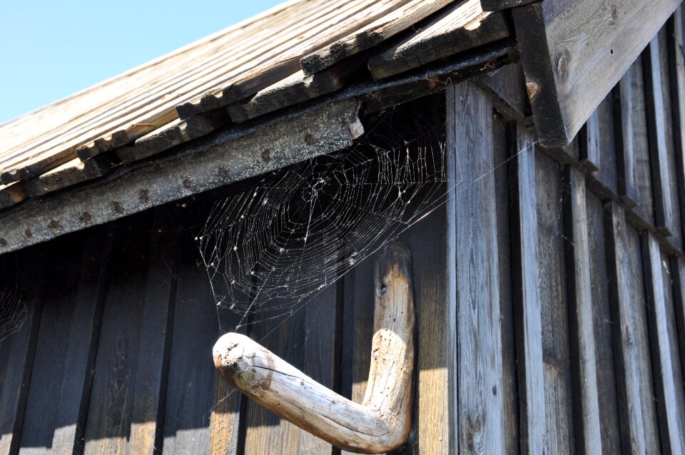 Cobwebs solar facade