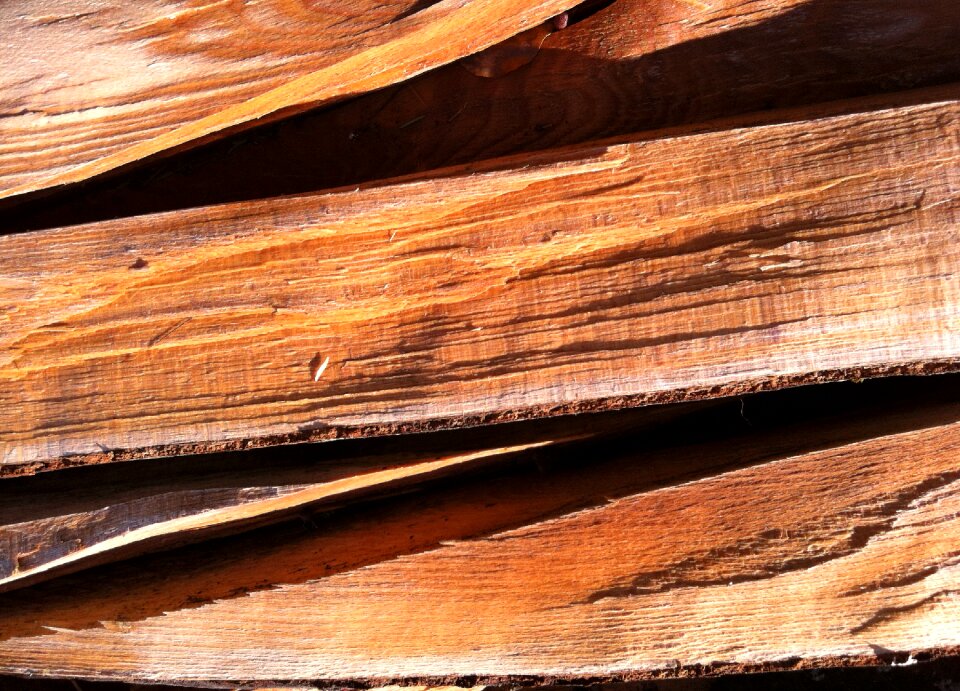 Wood pile logs forest