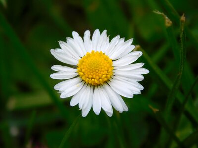 Spring small outdoor