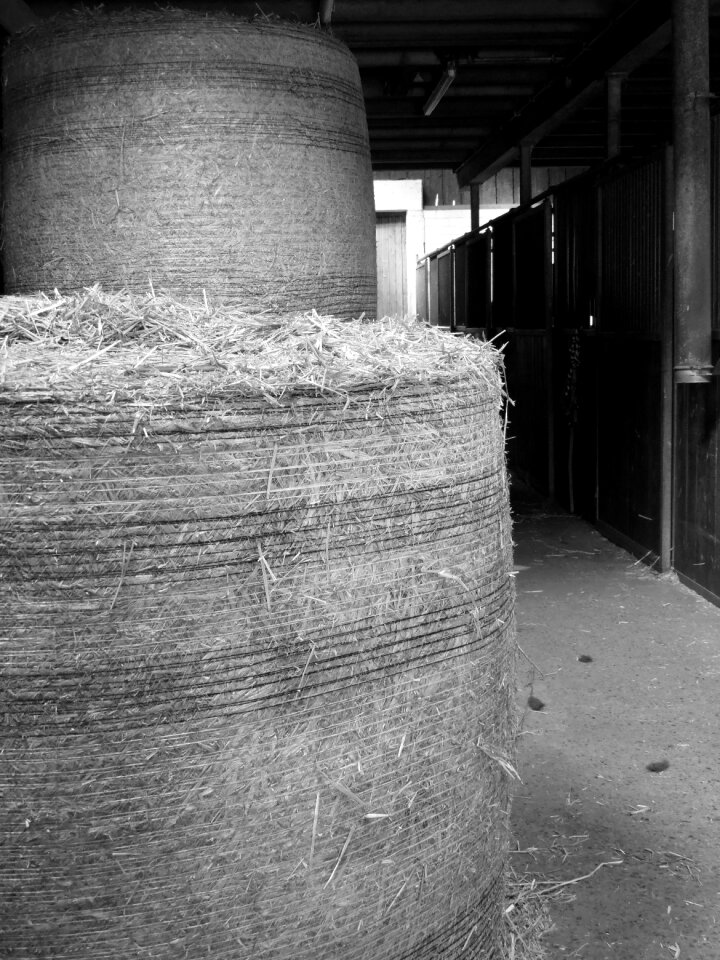 Horse stable straw bales alley