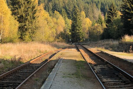 Forest stop south bohemia