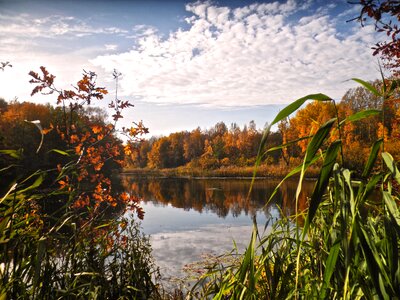 Panorama pond nature