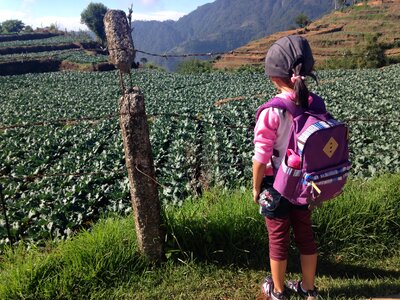 Travel little girl travel girl travel