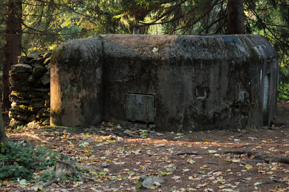 Bunker nature the fortifications