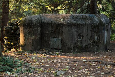 Bunker nature the fortifications