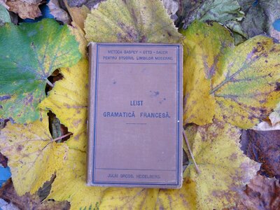 Volume french grammar